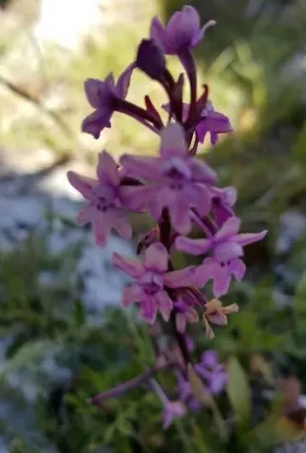 Casa Maresole ماتيناتا