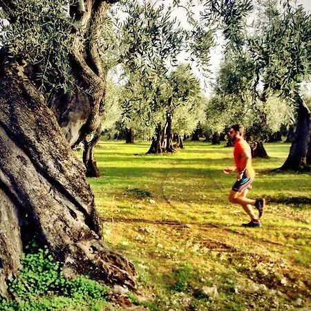 펜션 Casa Maresole